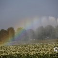 IMG_1821770
