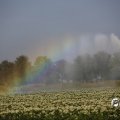 IMG_1821771
