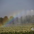 IMG_1821772