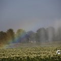 IMG_1821775
