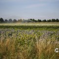 IMG_1821776
