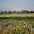 IMG_1821778