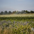 IMG_1821780