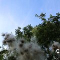 IMG_1821801