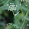 IMG_1821805