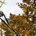 IMG_1821838