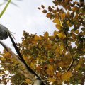 IMG_1821839