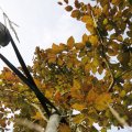 IMG_1821841