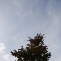 IMG_1821846