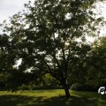 IMG_1821854