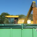 IMG_1823063