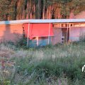 IMG_1823112
