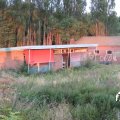 IMG_1823113