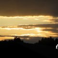 IMG_1823119