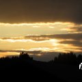 IMG_1823120