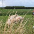 IMG_1823158