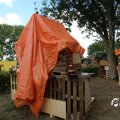 IMG_1829631
