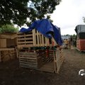 IMG_1829637