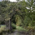 DSC0058_11-09-2022