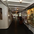 IMG_1843911