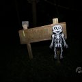IMG_1847182