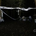 IMG_1847183