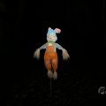 IMG_1847184