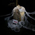 IMG_1847185