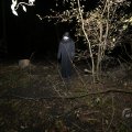 IMG_1847208