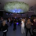 IMG_1849173