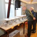 IMG_1854176