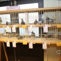 IMG_1854190