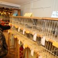 IMG_1854195