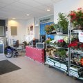 IMG_1856582
