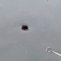 IMG_1859589