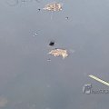 IMG_1859613