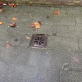 IMG_1859724