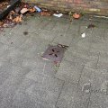 IMG_1859725