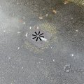IMG_1859727
