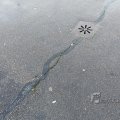 IMG_1859732