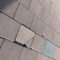 IMG_1859863