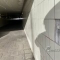 IMG_1859866