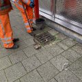 IMG_1859903
