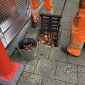 IMG_1859905