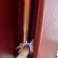 IMG_1864714