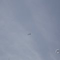 IMG_1877704