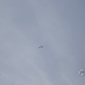 IMG_1877705