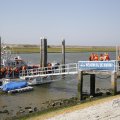 IMG_1878702