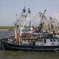 IMG_1878707