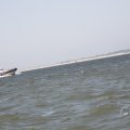 IMG_1878731